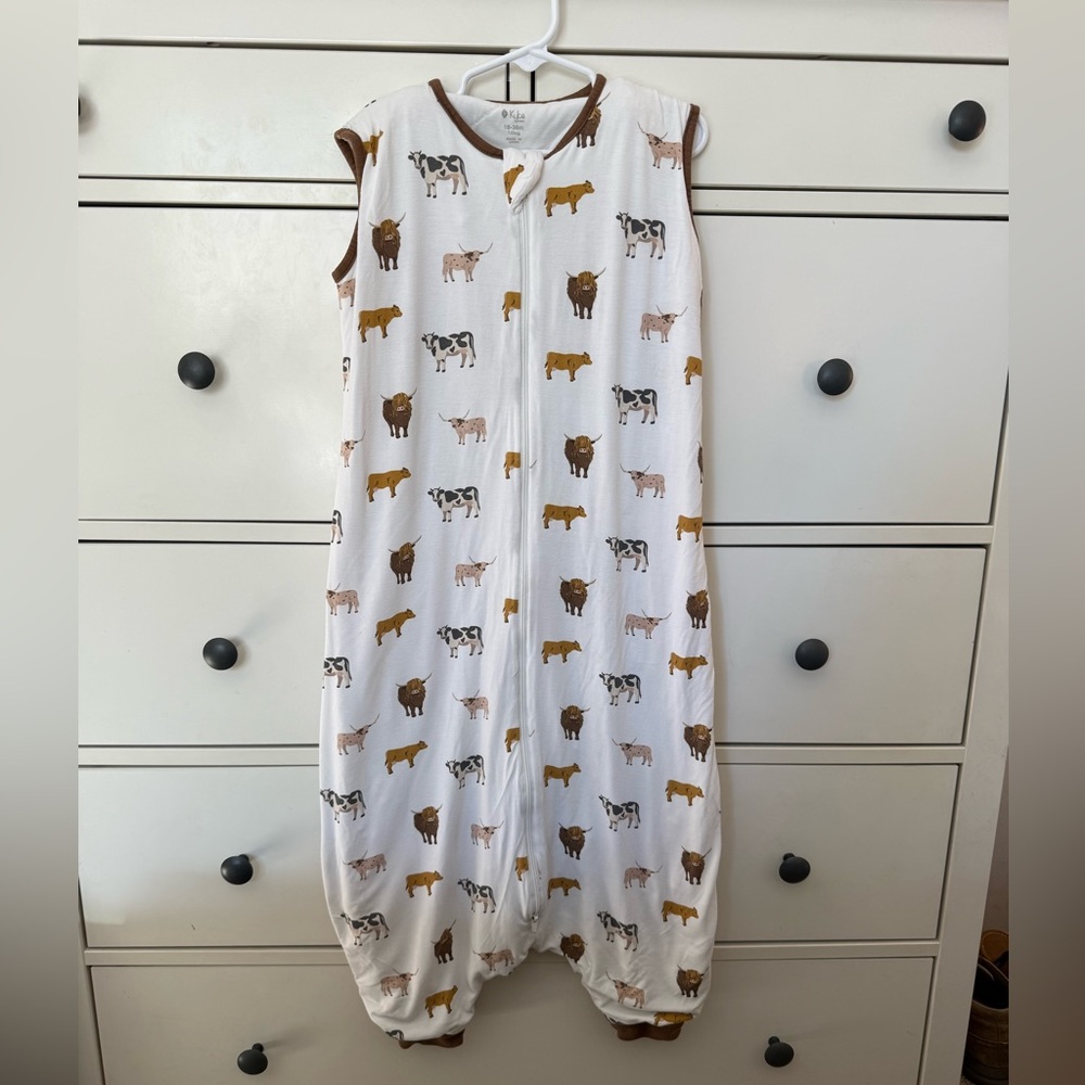 Kyte sleep bag walker